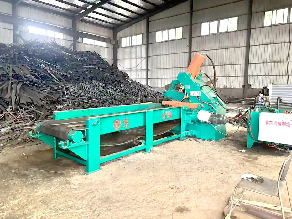 Alligator Shear with Chain Plate Conveyor in Scrap Steel Workshop