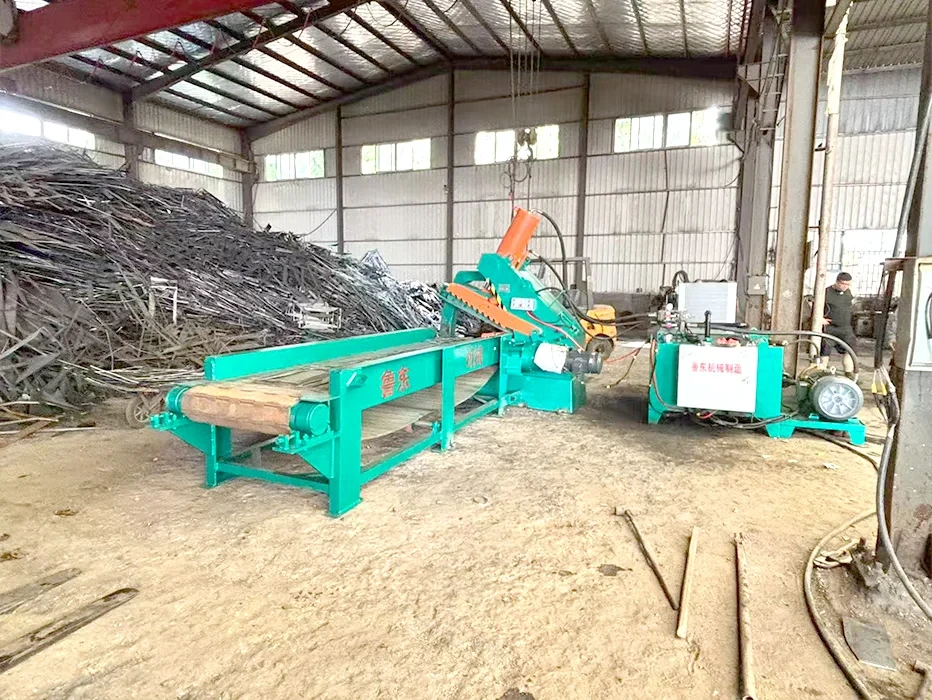 Alligator Shear with Chain Plate Conveyor in Scrap Steel Workshop